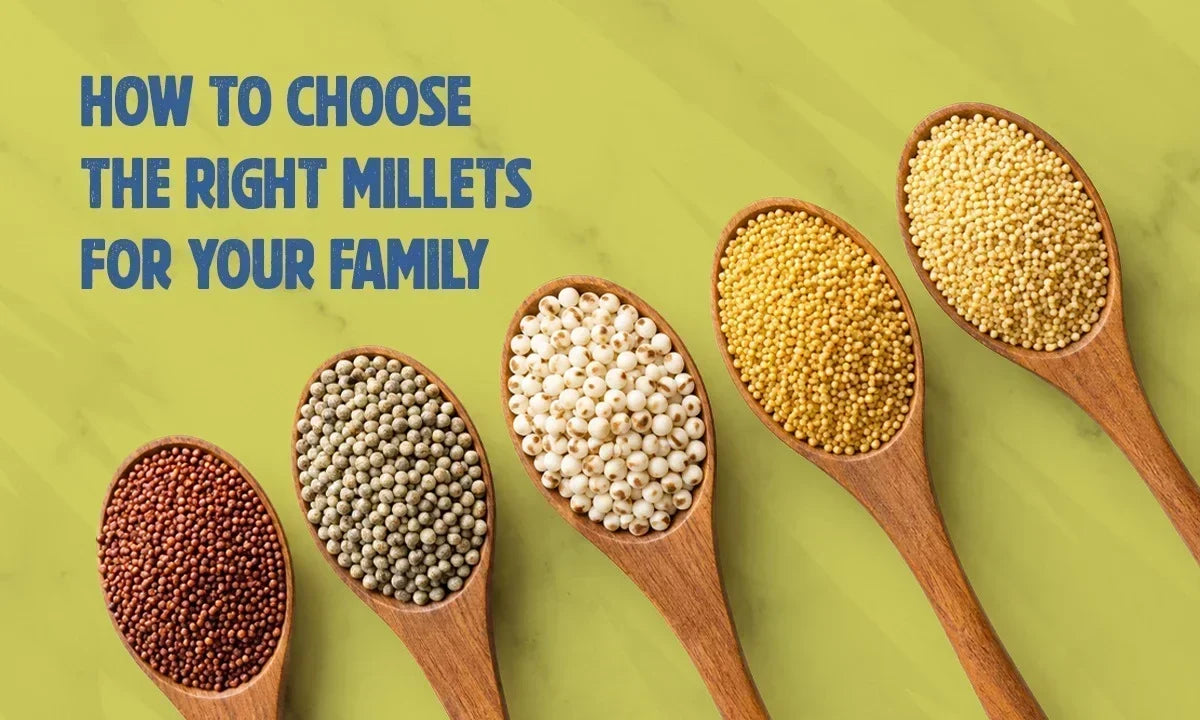How to Choose the Right Millet Food for Your Family