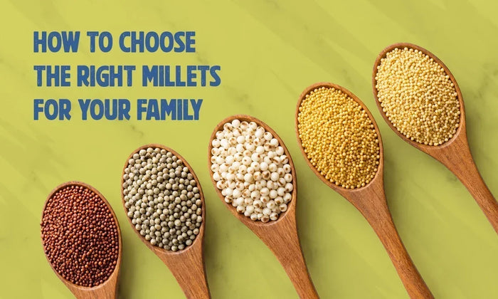 How to Choose the Right Millet Food for Your Family